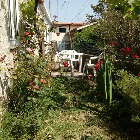House * Lovelhe